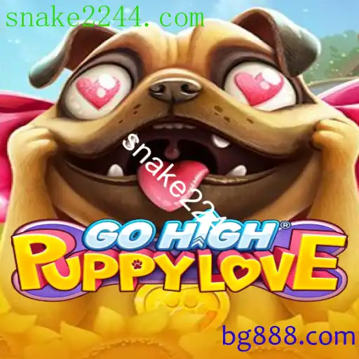 GoHighPuppyLove